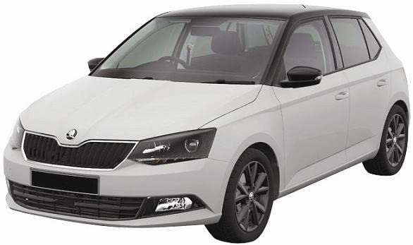 CG94 PIASTRA SPECCHIO- - Posizione Destro [Lato Passeggero] Per Auto: FABIA