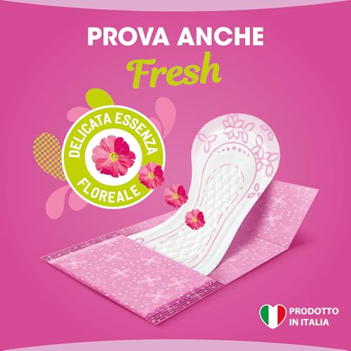 Lines Intervallo Fresh Ripiegato