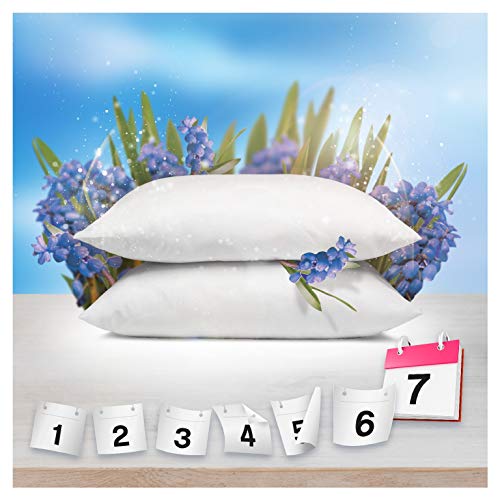 Lenor Ammorbidente Lavatrice Concentrato, 296 Lavaggi (8 x 37), Atmosfere D'Italia Capri, Profuma Ogni Notte fino a una Settimana