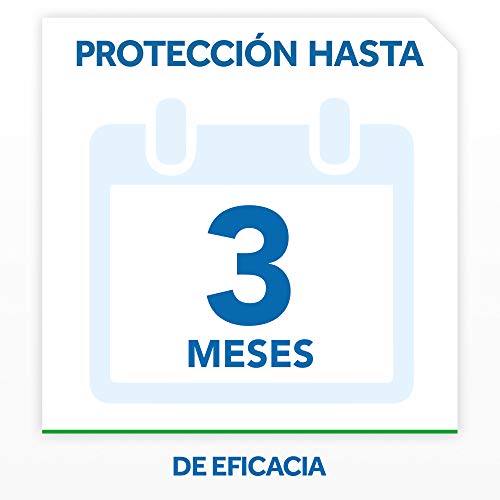 Raid Esca