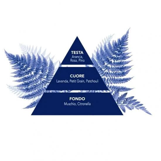 FELCE AZZURRA Sgrassatore Multiuso - Spray detergente con sgrassatore, detergente 750 ml