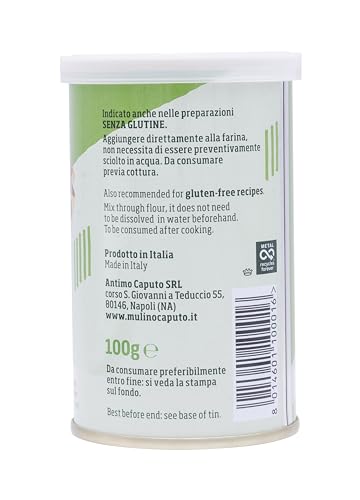 Caputo Levito Secco 1 confezione da 100 grammi// Qualità premium dall'Italia//Alto contenuto di proteine