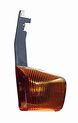 CG94 - GRUPPO OTTICO LATERALE AUTO: STRALIS 2002 ARANCIO SX