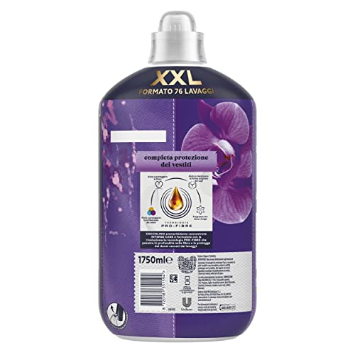 Coccolino Ammorbidente Concentrato Orchidea Viola e Mirtilli, Ammorbidente Lavatrice Intense Care con Tecnologia Pro-Fibre, Formato XXL Fino a 76 Lavaggi, 1750 ml