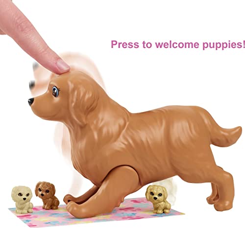 Barbie - Bambola, Supermercato, Carrello Funzionante e Tanti Accessori, Multicolore, FRP01