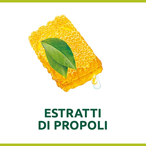 Palmolive Sapone Liquido Mani Hygiene Plus Family con Antibatterico Naturale e Ingredienti Idratanti, agli Estratti di Propoli, 12 x 300 ml