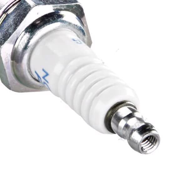 NGK 3830 BR10EG Candela