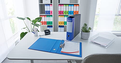 Esselte Raccoglitore Oxford con meccanismo a leva e con custodia