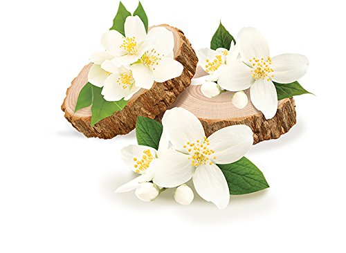 glade AREA_DEODORIZER