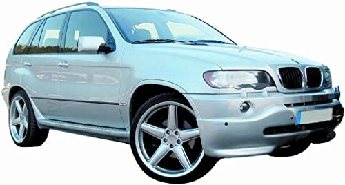 CG94 PIASTRA SPECCHIO TERMICA- VETRO BLU ASF. - Posizione Destro [Lato Passeggero] Per Auto: X5 E53