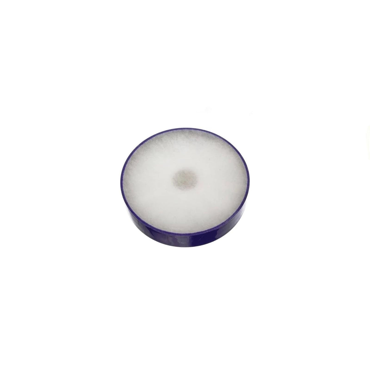 CG94 - Filtro Aspirapolvere HEPA Compatibile DY_SON Codice Referenza: 901420-01