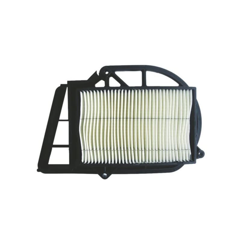 Filtro Aria Variatore Compatibile Yamaha X-Max 250 2006-2016 FA70026