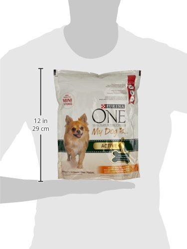 PURINA ONE Mini Active Crocchette per Cani Adulti con Pollo e Riso Sacco da 800g