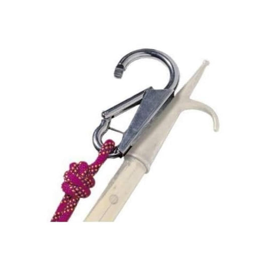 Kong Gancio D'ATTRACCO 16, Lucido