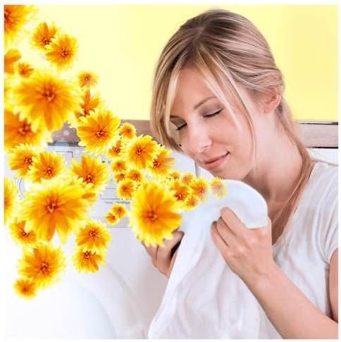 Crease Lenor Spray sventurante rimuove le rughe nel tessuto Brezza estiva, 500 ml