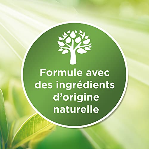 Bref WC Power Activ' Menthe Eucalipto - 1 blocco per WC (50 g) - Prodotto detergente per WC, anticalcare in schiuma detergente