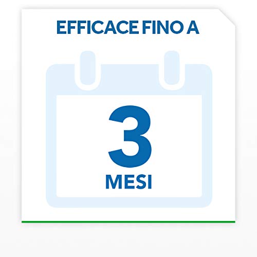 Raid Esca Formiche Insetticida