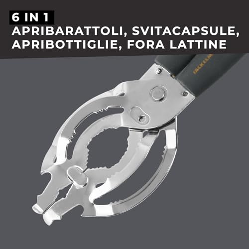 Fackelmann Scavino per Frutta in Acciaio Inox, Grigio, 18,5 x 18,5 x 3 cm