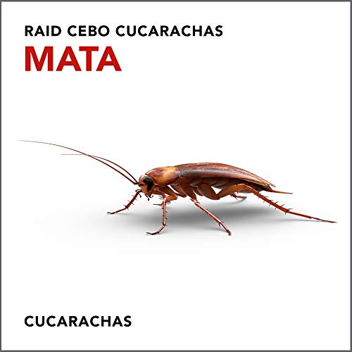 Raid Esca