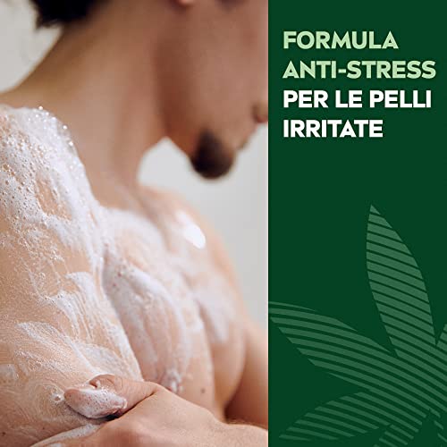 NIVEA MEN Sensitive Pro Doccia Shampoo, Doccia schiuma uomo delicato per corpo, viso e capelli, Shampoo uomo per pelli sensibili con Olio di Semi di Canapa, 1 x 250 ml