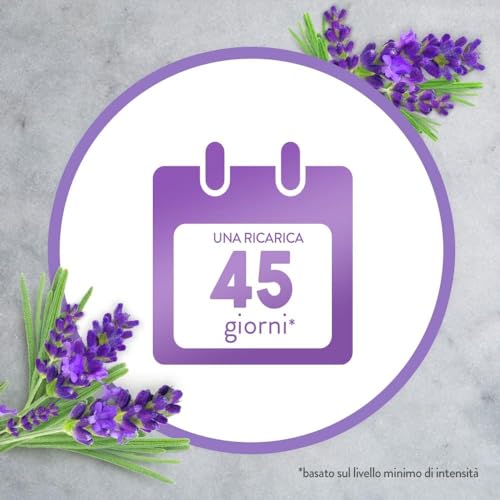 Airwick Ricariche per Diffusore di Oli Essenziali Armonia Istantanea, Confezione da 6 Ricariche per il Diffusore di Oli Essenziali Profumatore per Ambienti alla Fragranza Timo&Limone e Lavanda