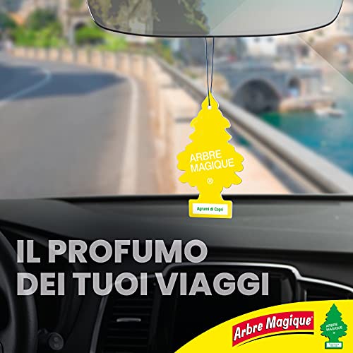 Arbre Magique Mono, Profumatore Auto, Durata fino a 7 Settimane, Made in Italy, Confezione da 1 Pezzo