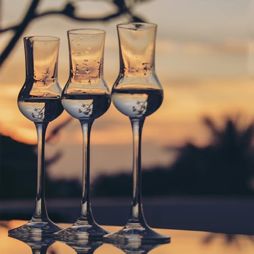 Bottega Fumé Grappa