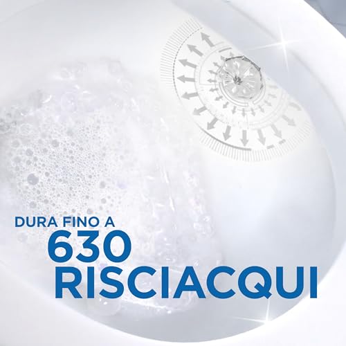 Duck Fresh Discs - 2 Ricariche da 6 Dischi Gel Igienizzanti WC, Fragranza Eucalipto con agenti candeggianti, Confezione da 2 Applicatori e 12 dischetti