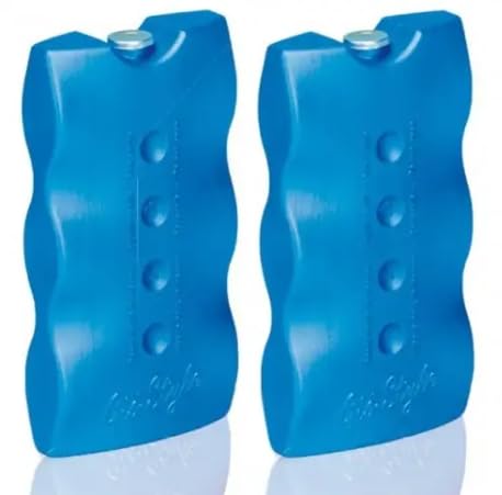CG94 GHIACCIO SINTETICO-MATTONELLE GR.400 (PZ.2)