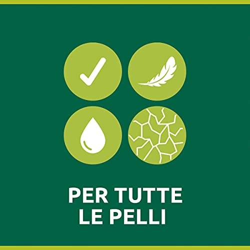 Palmolive Sapone Liquido Mani Hygiene Plus Family con Antibatterico Naturale e Ingredienti Idratanti, agli Estratti di Propoli, 12 x 300 ml