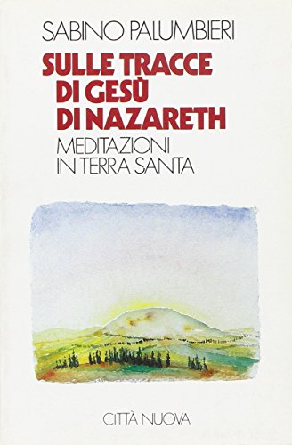 Sulle tracce di Gesù di Nazareth. Meditazioni in Terra Santa