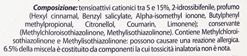 Amuchina Additivo Igienizzante con Ammorbidente, Adatto a Bianchi e Colorati, 1000ml