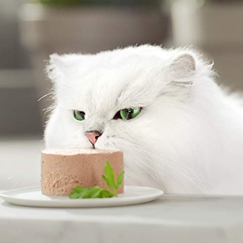 Purina Gourmet Gold Mousse, cibo umido per gatti