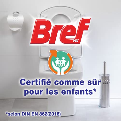 Bref WC Power Activ' Menthe Eucalipto - 1 blocco per WC (50 g) - Prodotto detergente per WC, anticalcare in schiuma detergente