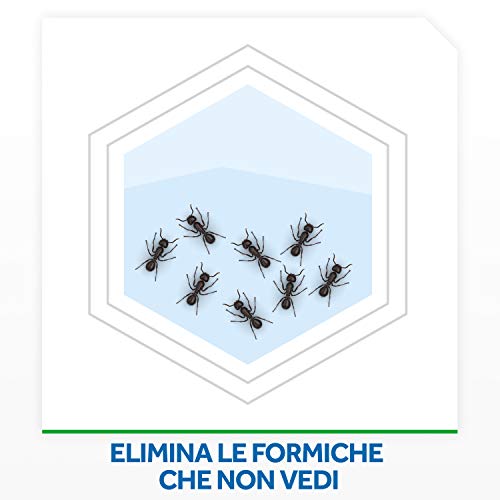Baygon Insetticida Polvere Scarafaggi e Formiche, 250g, Effetto Rapido e Lunga Durata