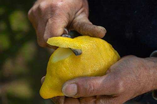 Villa Massa Liquore Limoni Sorrento - 500 ml