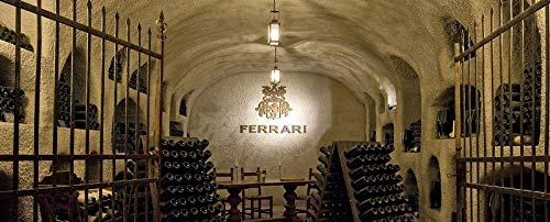 Ferrari Trentodoc Brut Metodo Classico [ 6 Bottiglie x 750ml ] *senza custodia*