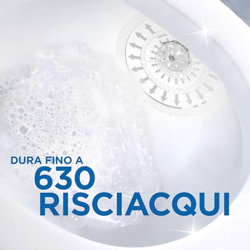 Duck Fresh Discs - Base per Dischi Gel Igienizzanti WC, Fragranza Eucalipto con agenti candeggianti - Confezione da 1 Applicatore e 6 Dischetti