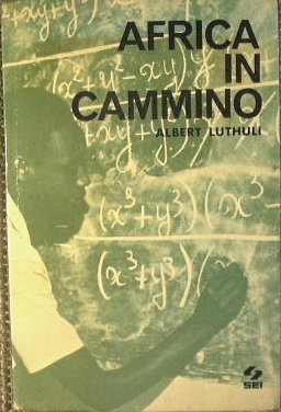 AFRICA IN CAMMINO. L'AUTOBIOGRAFIA DI UN GRANDE LEADER SUDAFRICANO