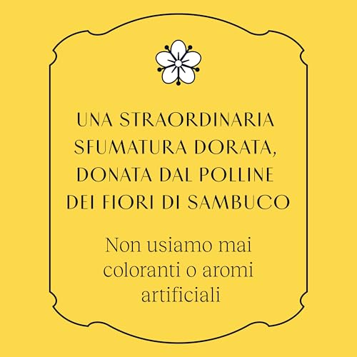 St-Germain Liquore Artigianale ai Fiori di Sambuco e Hugo Cocktail Kit con liquore