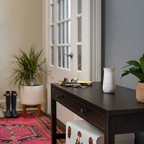 Glade Sense&Spr.Re.Vaini