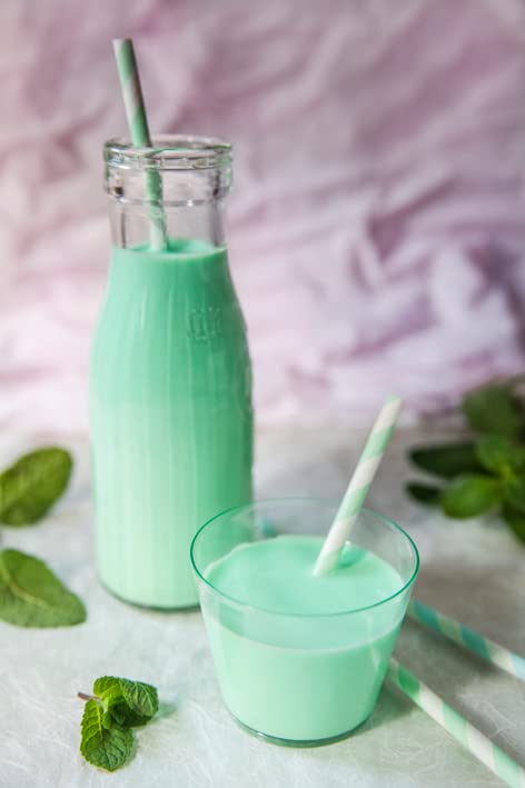 KG 1,32 SCIROPPO ALLA MENTA MINT SYRUP PER GRANITE E COCKTAIL IN BOTTIGLIA PER BAR GELATERIE E PASTICCERIE