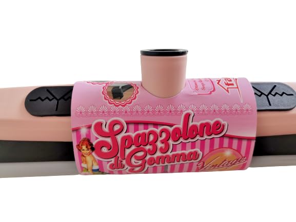 Scopa in Silicone Gomma Tira Acqua con Manico allungabile per peli di Animali tappeti Pavimenti Moquette Piastrelle finestre