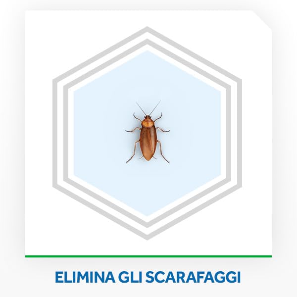 Raid Esca Scarafaggi Insetticida Inodore, Efficace fino a 3 Mesi, Area di Utilizzo Interno/Esterno