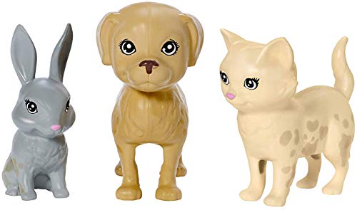 Barbie Cuccioli Cambia Colore, Playset con Bambola e Due Cuccioli Che Cambiano Colore con l'Acqua, Giocattolo per Bambini 3+ Anni, FXH11