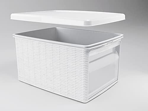 Stefanplast Elegance Scatola S con Coperchio e Apertura Frontale