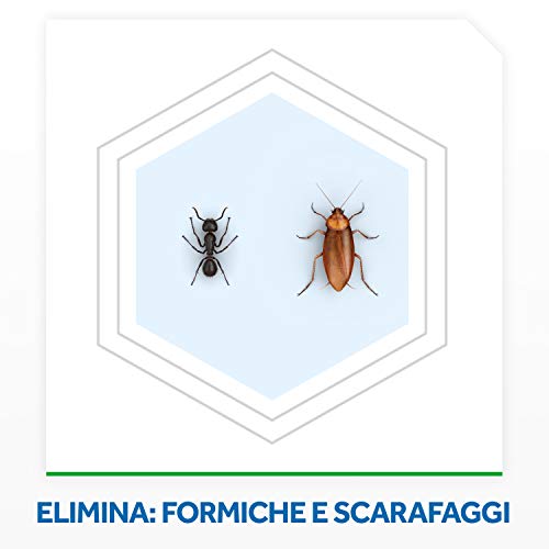 Baygon Insetticida Polvere Scarafaggi e Formiche, 250g, Effetto Rapido e Lunga Durata