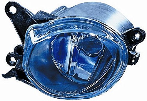 61940 FENDINEBBIA DX Destro [Lato Passeggero]