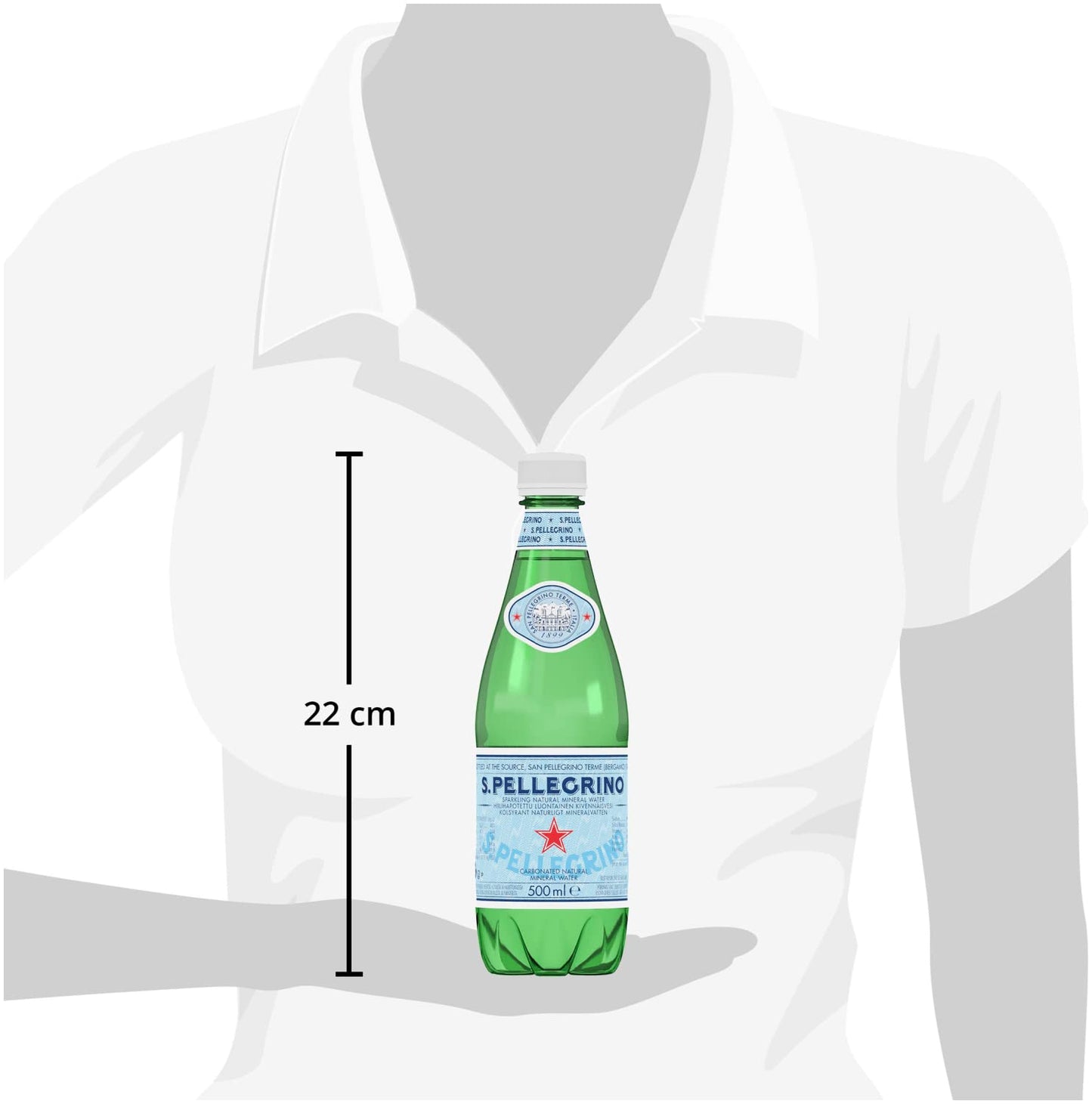 San Pellegrino Acqua minerale naturale frizzante 12x500ml