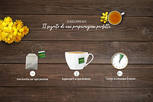 Sogni d'oro Tisana Regolarità, confezione da 20 Filtri, con senna e tarassaco, solo ingredienti naturali. Favorisce l'equilibrio della flora intestinale.